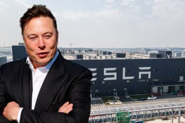 Musk s'apprête à donner un énorme coup de pouce au Royaume-Uni avec la nouvelle gigafactory Tesla: "Ouvert aux affaires!"