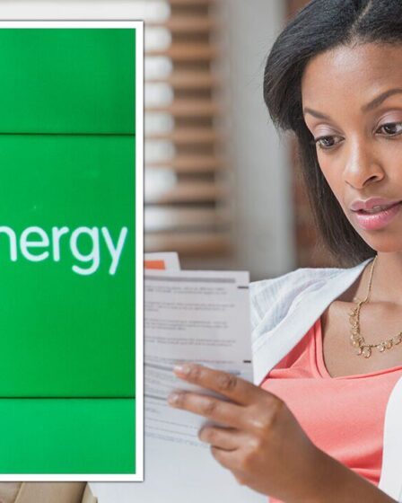 OVO Energy Fund offre un soutien «sur mesure» aux clients qui ont du mal à payer leurs factures