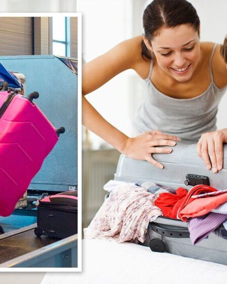 "S'il vous plaît, ne faites pas vos valises" Le bagagiste partage des objets communs que les gens "ne devraient pas" mettre dans des sacs