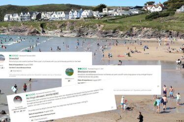 «Trop de sable» Les amateurs de plage insatisfaits se plaignent du littoral britannique dans des critiques bizarres