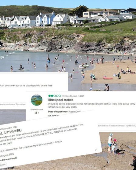 «Trop de sable» Les amateurs de plage insatisfaits se plaignent du littoral britannique dans des critiques bizarres