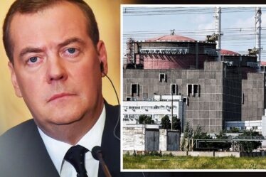 Ukraine EN DIRECT : "Scumbags !"  Maintenant, les hommes de main de Poutine ont des centrales nucléaires européennes en vue