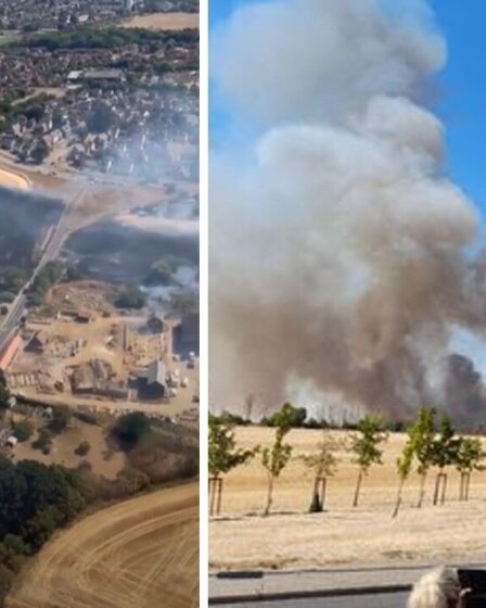 Un énorme incendie de forêt à Chelmsford voit des personnes ÉVACUÉES des maisons alors que de la fumée noire monte