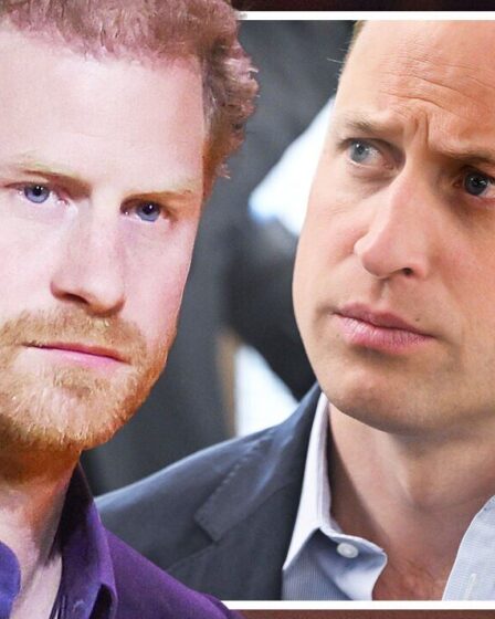 Harry et William devraient se réconcilier "dans les coulisses" - mais il n'y a pas eu de mouvement