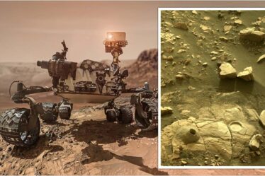 La NASA fait une énorme percée sur Mars alors que des « éléments constitutifs de la vie » sont découverts sur la planète