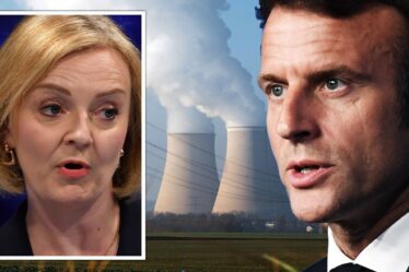 La crise de l'énergie est malheureuse alors qu'un expert révèle pourquoi le Royaume-Uni est en retard sur la France en matière d'énergie nucléaire
