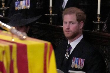 Le dernier au revoir de Harry: Prince regarde le cercueil de la reine descendre dans le Royal Vault