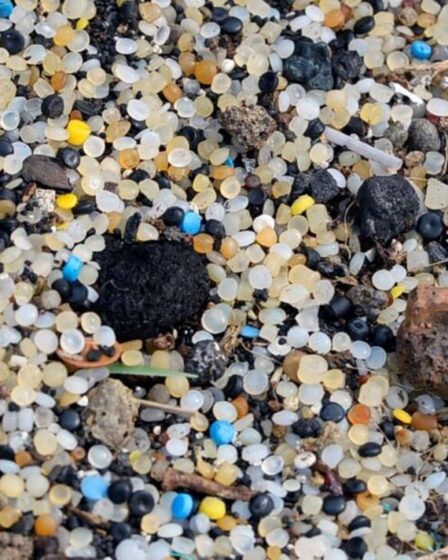 Les militants écologistes exigent l'arrêt de la pollution par les granulés de plastique qui tue la vie marine