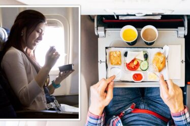 'Meilleur hack' pour ne jamais avoir faim si vous n'aimez pas la nourriture d'avion - 'c'est tellement intelligent'