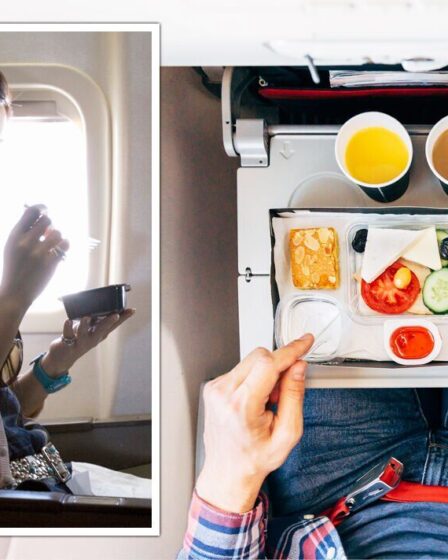 'Meilleur hack' pour ne jamais avoir faim si vous n'aimez pas la nourriture d'avion - 'c'est tellement intelligent'