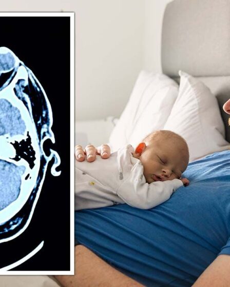Rétrécissement du cerveau: les hommes ont envoyé un avertissement car les nouveaux pères pourraient voir les cerveaux devenir PLUS PETITS