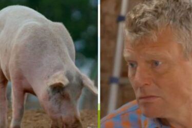 Tom Heap de Countryfile laisse les fans de la BBC furieux sur le segment de l'élevage porcin "Pas de Brexit?"