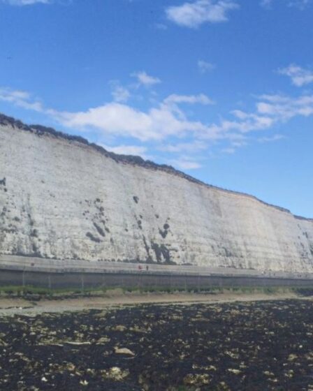 Un homme de 52 ans arrêté après qu'un garçon de 10 ans a plongé d'une falaise de 100 pieds à Brighton