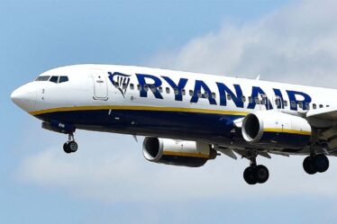 Un passager ivre de Ryanair a attaqué l'équipage et la police après avoir embarqué dans l'avion