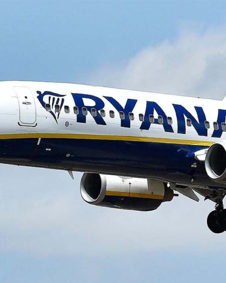 Un passager ivre de Ryanair a attaqué l'équipage et la police après avoir embarqué dans l'avion