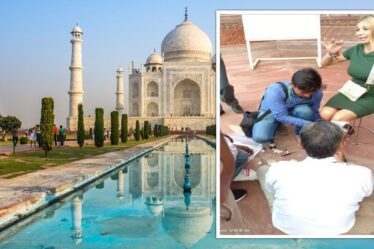 Un touriste blessé lors d'une attaque de singe vicieuse au Taj Mahal en Inde - "pleure de douleur"
