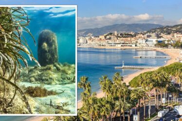 Week-end Cannes : Un séjour de 48 heures dans ce joyau de la Côte d'Azur