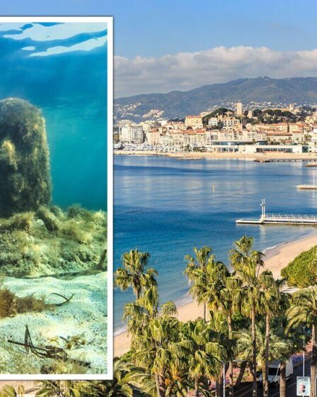 Week-end Cannes : Un séjour de 48 heures dans ce joyau de la Côte d'Azur