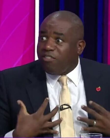'Absurdité!' David Lammy du Labour verrouille les cornes avec la députée conservatrice Lucy Frazer au sujet de la revendication du NHS