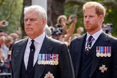 Buckingham Palace "finalise" ses plans pour écarter Harry et Andrew des "affaires d'État"