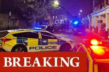 Des officiers armés assistent à la scène après des coups de feu entendus à Brixton – deux hommes tués