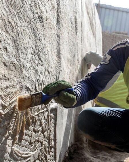 Percée archéologique alors que les reliefs assyriens sont dévoilés dans les ruines laissées par Isis en Irak