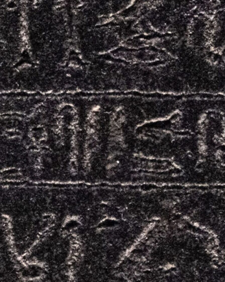 Rangée de pierres de Rosette alors que l'Égypte demande à la Grande-Bretagne de rendre le célèbre "symbole de la violence culturelle"