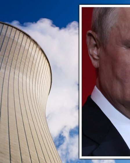 L'emprise nucléaire de Poutine sur l'Europe pourrait déclencher une nouvelle crise énergétique, avertit un expert