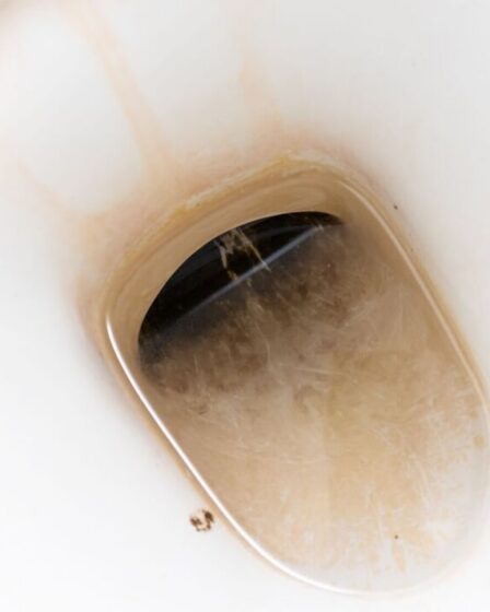 'Fonctionne en une heure!'  Dissolvez le calcaire «épais» des toilettes avec l'agrafe de nettoyage «essentielle»