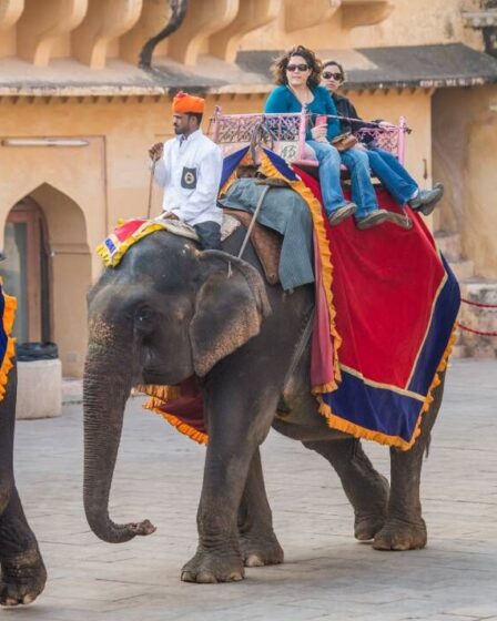"La vente de billets pour le tourisme d'éléphants doit être interdite maintenant", prévient le présentateur de Springwatch