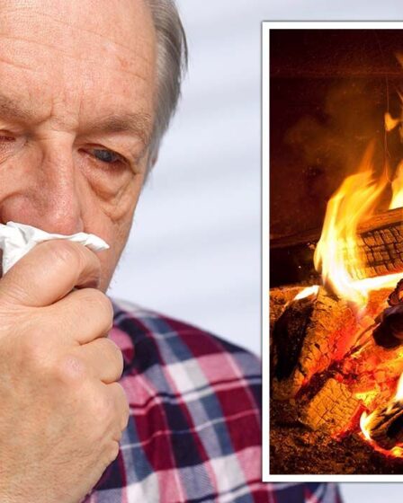 Les Britanniques ont déclaré que les brûleurs à bûches à économie d'énergie "augmentent les risques pour la santé" - nouvel avertissement SAGE