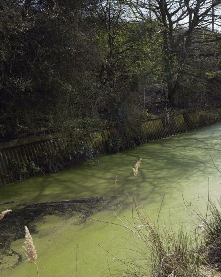 Les amendes des pollueurs peuvent restaurer les cours d'eau, suggèrent les députés conservateurs
