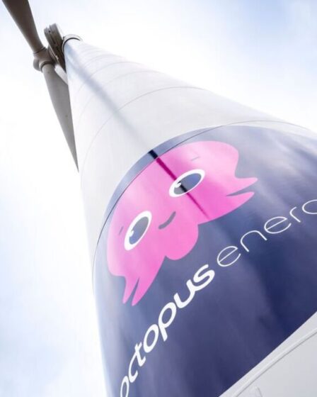 Octopus Energy exhorte le Royaume-Uni à supprimer les formalités administratives et à exploiter l'électricité "la moins chère" pour les maisons de 1,85 m