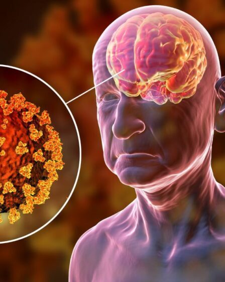 L'autopsie de Covid révèle comment la maladie se propage dans le corps - y compris le cerveau
