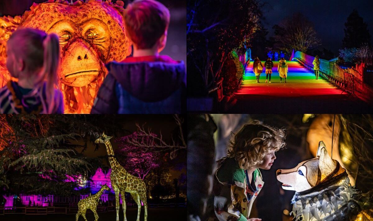 Le zoo de Chester ouvrira la nuit pour une exposition de lanternes sur le thème des animaux - comment visiter