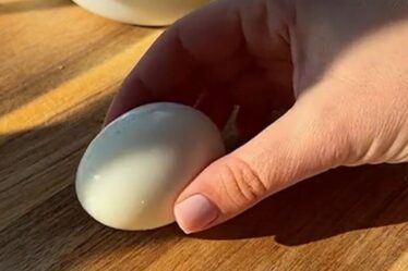 'Pourquoi personne ne m'a dit cela ?'  Le piratage d'œufs viral étonne les chefs qualifiés - "Ma mâchoire est tombée"