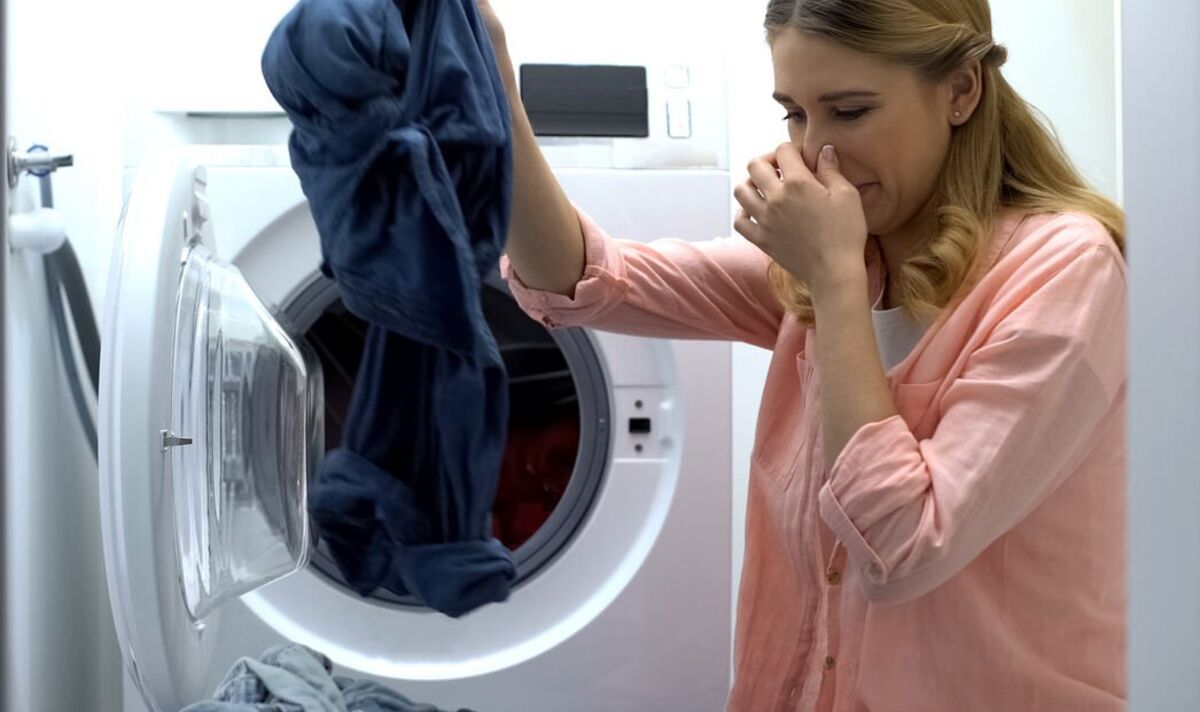 Quatre méthodes pour empêcher les vêtements de sentir l'humidité - "accélèrent également le séchage des vêtements"