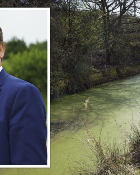 Feargal Sharkey dénonce les entreprises de distribution d'eau pour avoir pollué les rivières britanniques avec une "impunité apparente"