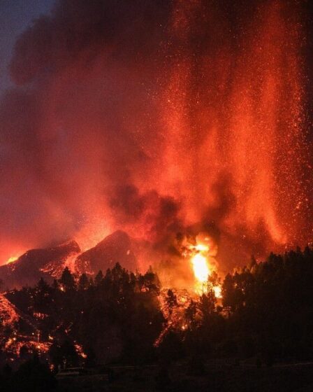 La théorie du volcan de La Palma affirme qu'un glissement de terrain pourrait déclencher un méga-tsunami