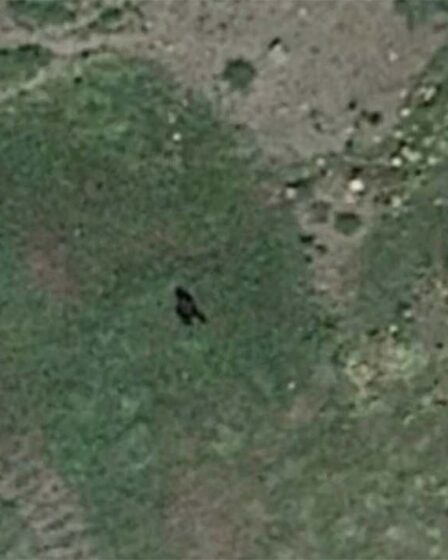 Le mystère du Bigfoot en tant que créature massive ressemblant à un singe vue marchant sur Google Earth