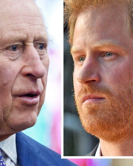 Le prince Harry "recherche la compassion" de Charles malgré son attaque contre la famille royale