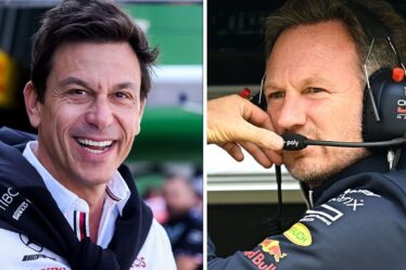 Toto Wolff gagne plus d'argent que 16 pilotes de F1 mais Christian Horner est-il mieux payé ?