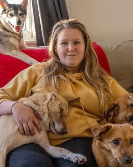 Un chien de sauvetage russe touché quatre fois à la tête survit par miracle pour son nouveau propriétaire