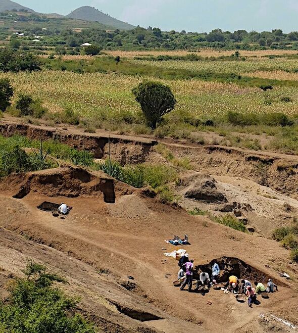 Le site de fouilles de Nyayanga