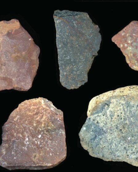 Les plus anciens exemples d'outils en pierre "sophistiqués" trouvés sur un site de boucherie vieux de 2,9 millions d'années