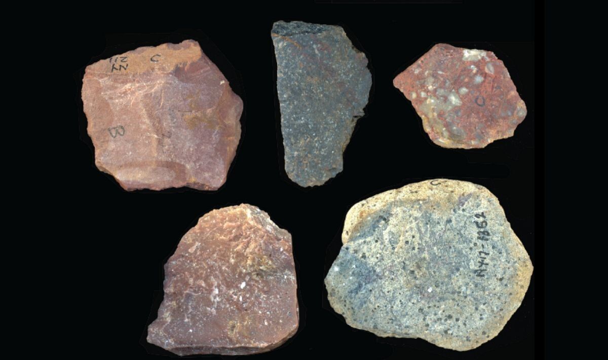 Les plus anciens exemples d'outils en pierre "sophistiqués" trouvés sur un site de boucherie vieux de 2,9 millions d'années