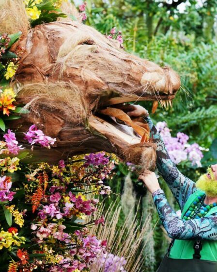 En pleine floraison, le festival des orchidées de Kew Gardens revient avec un thème animalier époustouflant