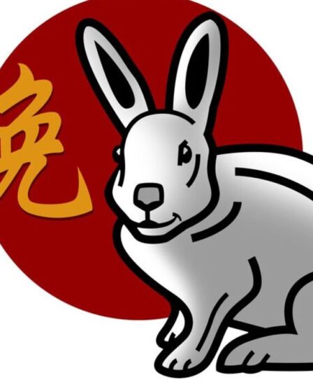 Horoscope chinois : le lapin est mal compris comme « doux et faible », mais a une « force » cachée