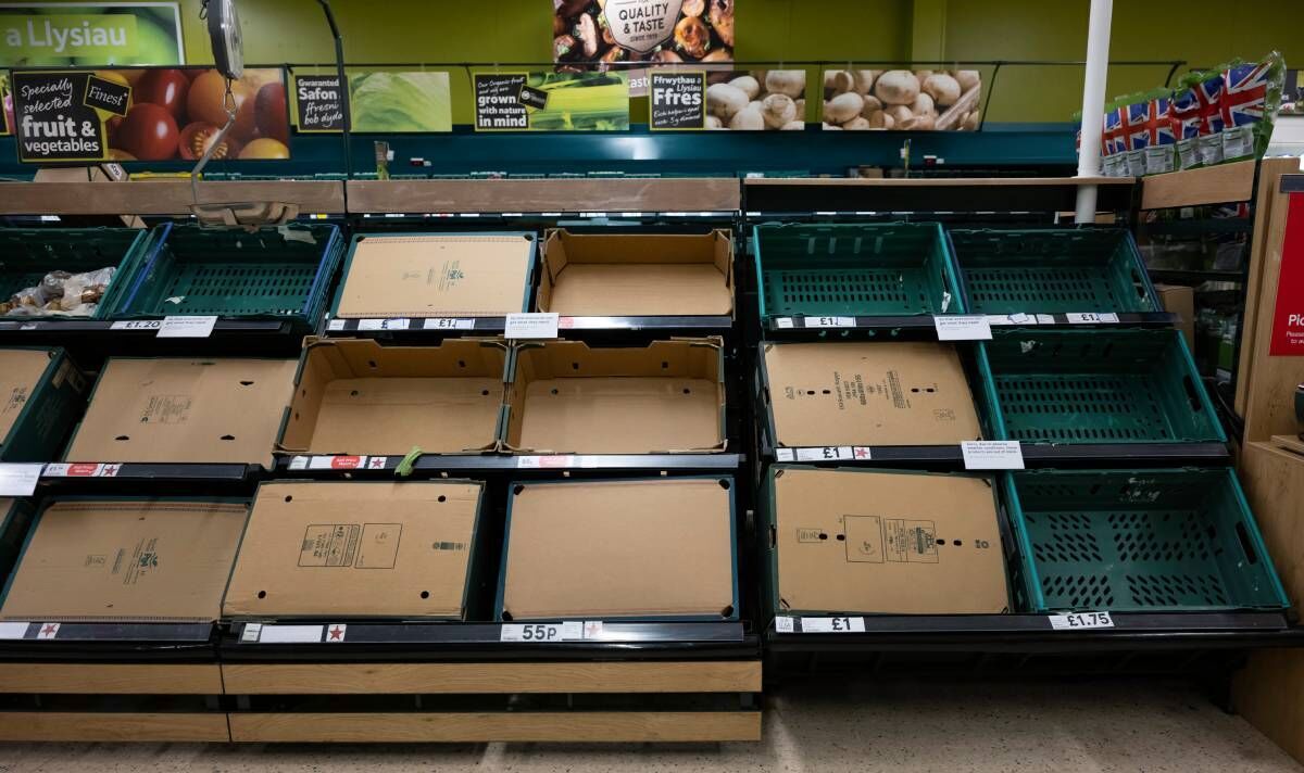 Le Royaume-Uni atteint la «pointe de l'iceberg» alors que les supermarchés font face à une pénurie de légumes