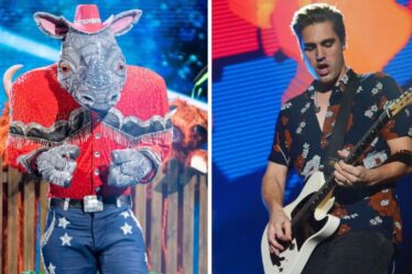 Les fans de Masked Singer "découvrent" la véritable identité de Rhino - et ce n'est pas Charlie Simpson